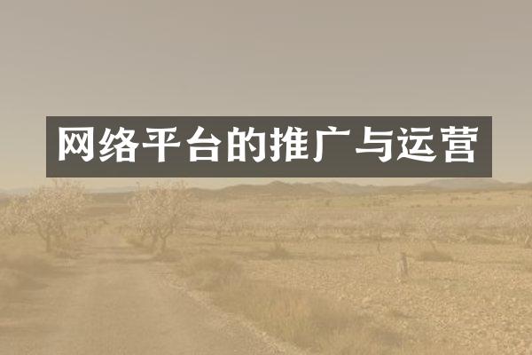 网络平台的推广与运营