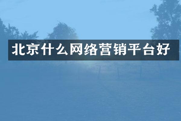 北京什么网络营销平台好