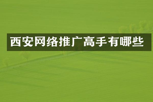 西安网络推广高手有哪些
