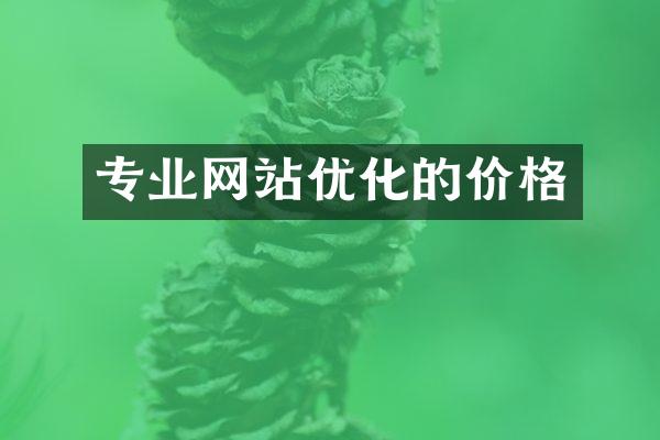 专业网站优化的价格