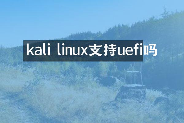 kali linux支持uefi吗