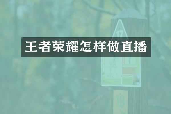 王者荣耀怎样做直播