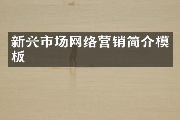 新兴市场网络营销简介模板