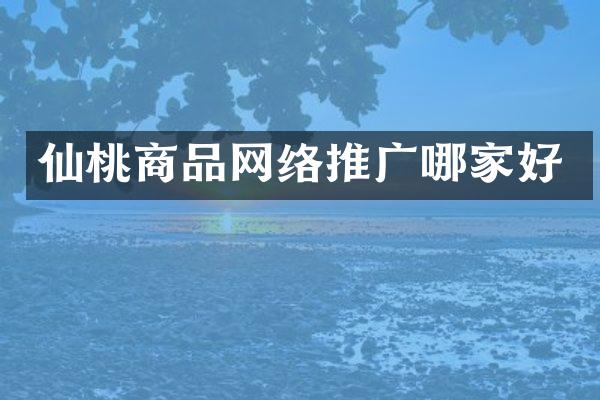 仙桃商品网络推广哪家好