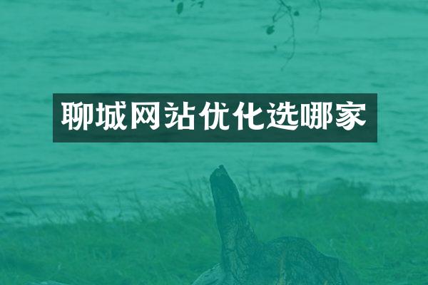 聊城网站优化选哪家