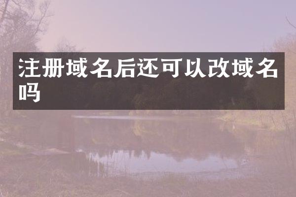 注册域名后还可以改域名吗