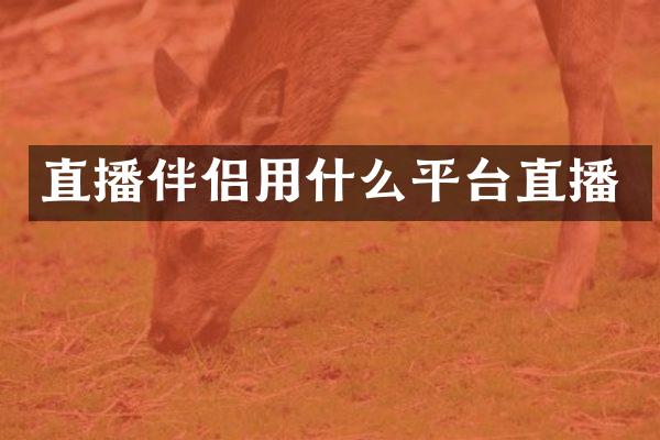 直播伴侣用什么平台直播