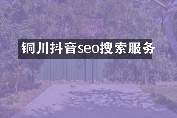 铜川抖音seo搜索服务