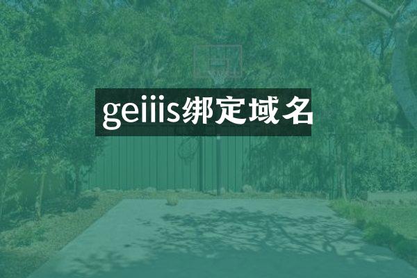 geiiis绑定域名