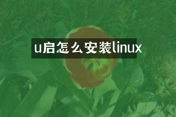 u启怎么安装linux