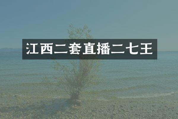 江西二套直播二七王