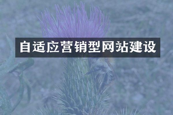 自适应营销型网站建设