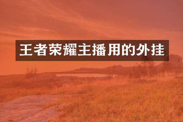 王者荣耀主播用的外挂