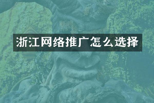 浙江网络推广怎么选择