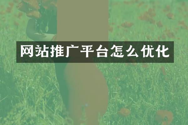 网站推广平台怎么优化