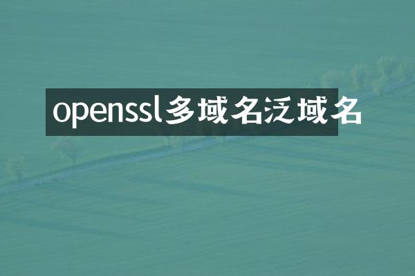 openssl多域名泛域名