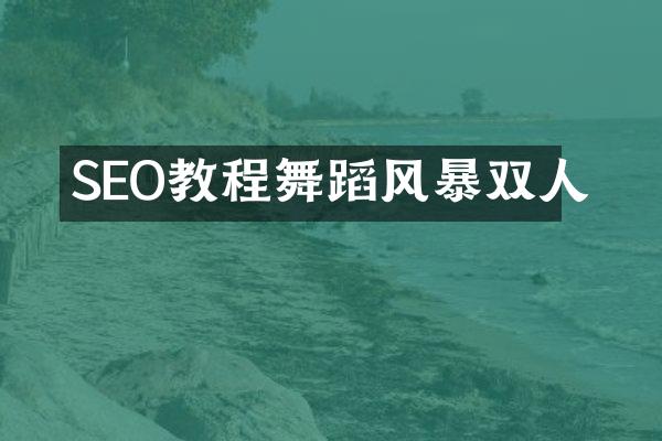 SEO教程舞蹈风暴双人