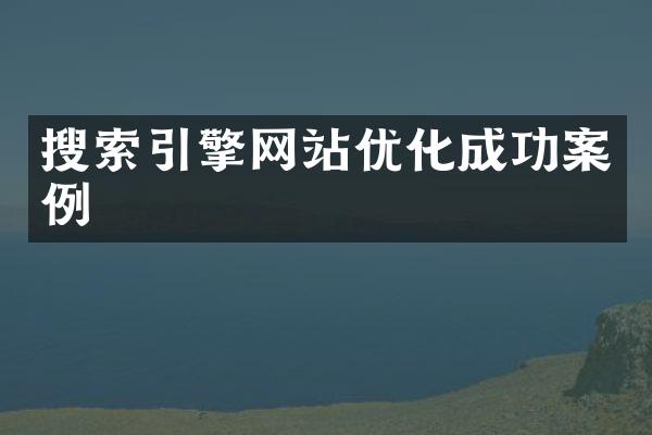 搜索引擎网站优化成功案例
