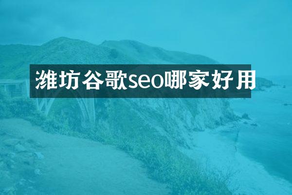 潍坊谷歌seo哪家好用