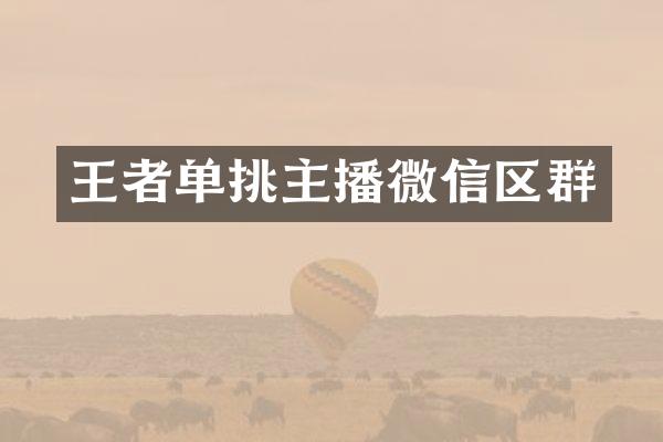 王者单挑主播微信区群