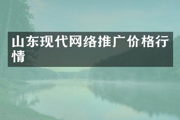 山东现代网络推广价格行情