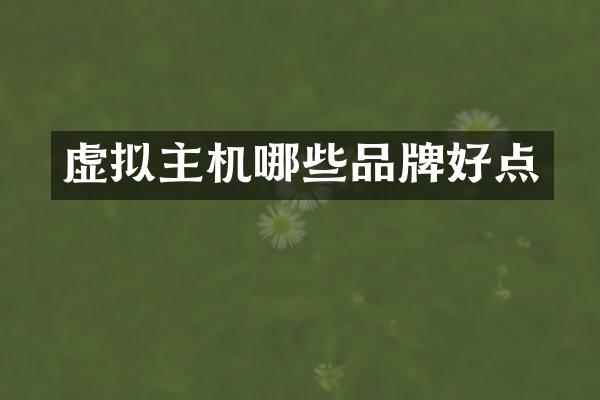 虚拟主机哪些品牌好点