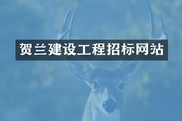 贺兰建设工程招标网站
