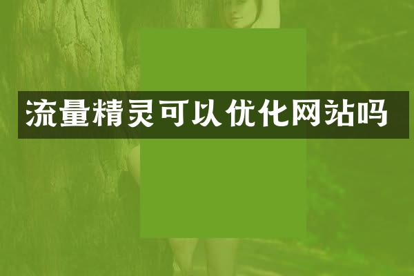 流量精灵可以优化网站吗