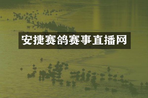 安捷赛鸽赛事直播网