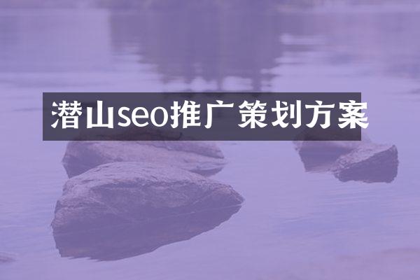 潜山seo推广策划方案