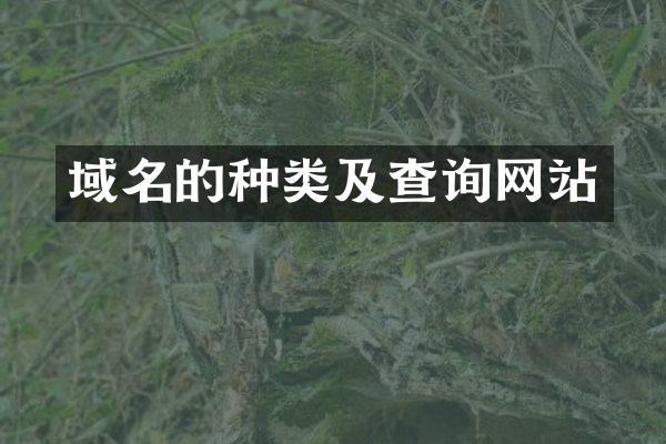 域名的种类及查询网站