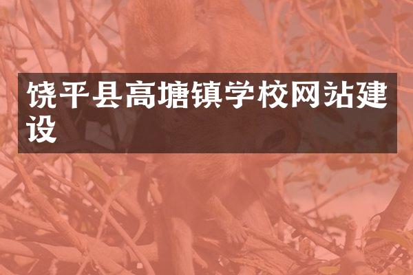 饶平县高塘镇学校网站建设