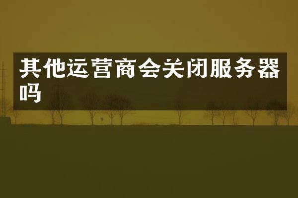 其他运营商会关闭服务器吗