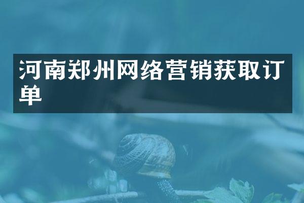 河南郑州网络营销获取订单
