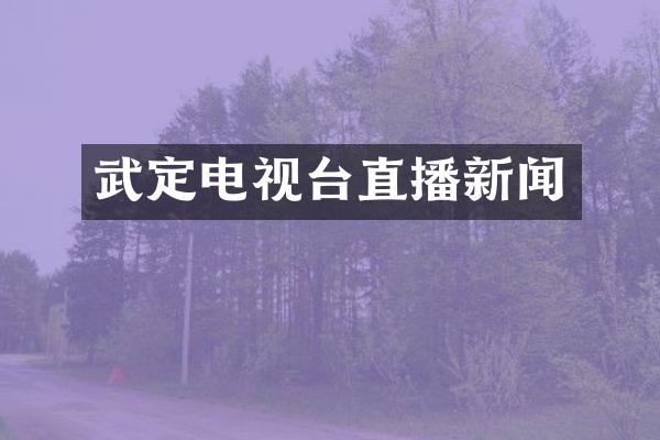 武定电视台直播新闻