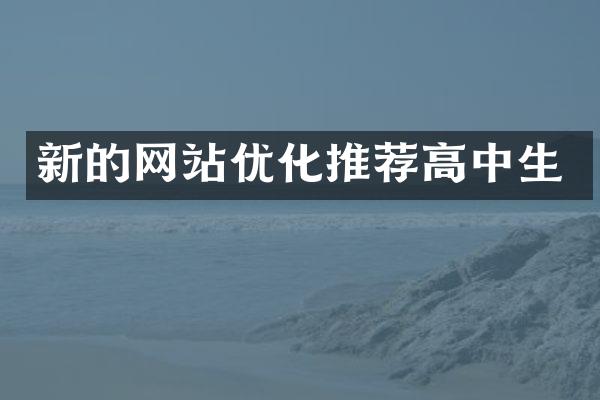 新的网站优化推荐高中生