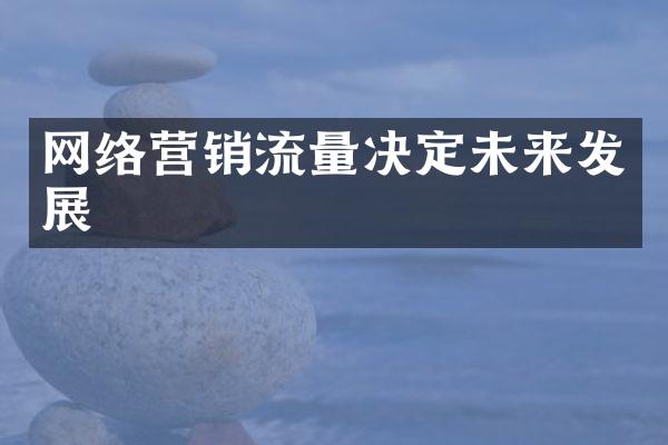 网络营销流量决定未来发展