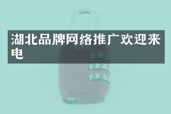 湖北品牌网络推广欢迎来电