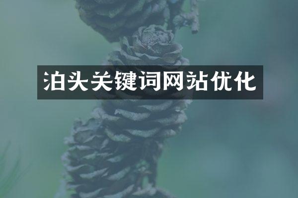 泊头关键词网站优化