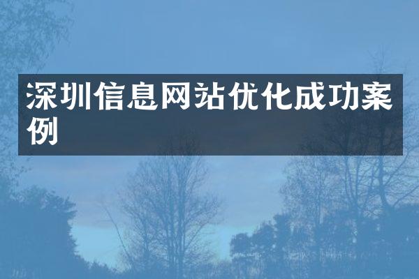 深圳信息网站优化成功案例