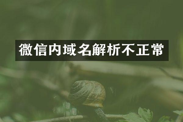 微信内域名解析不正常