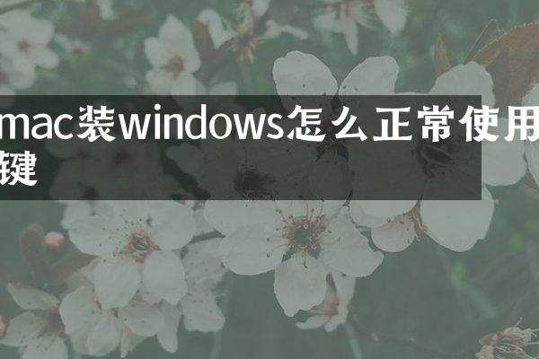 mac装windows怎么正常使用右键