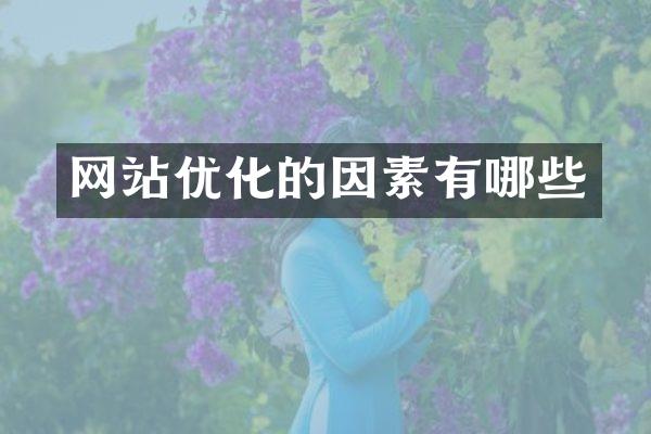 网站优化的因素有哪些