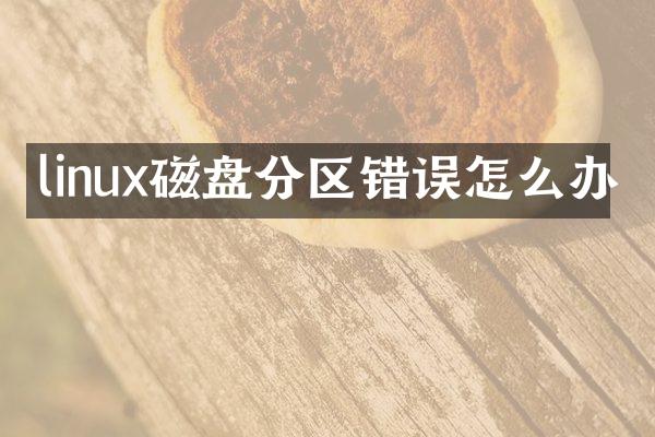 linux磁盘分区错误怎么办