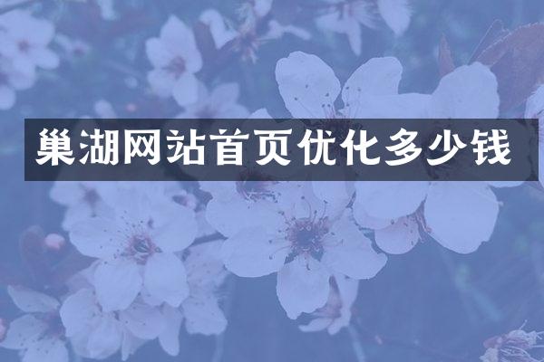 巢湖网站首页优化多少钱