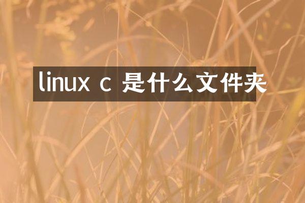 linux c 是什么文件夹