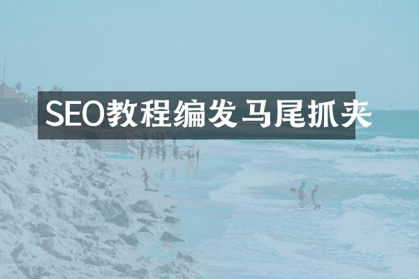 SEO教程编发马尾抓夹