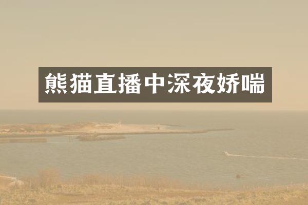 熊猫直播中深夜娇喘