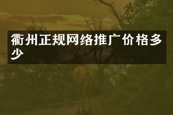 衢州正规网络推广价格多少