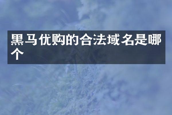 黑马优购的合法域名是哪个